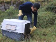 La CAR celebra Avances en la Protección de la Fauna Silvestre durante 2024