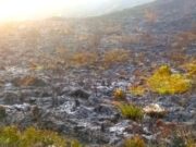 Parque Natural Chingaza Afectado por Incendio