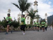 “Árboles para mi País”: Correr por la conservación