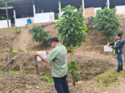 CAR suspende criadero de cerdos en Anolaima por infracciones ambientales