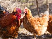 Capacitación con FENAVI en Nemocón