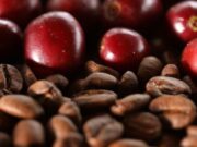 Cundinamarca mejora su Café con Fertilizantes y Renovaciones