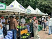 Cundinamarca se toma Bogotá con Mercados Campesinos