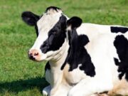 Jornada de inscripción de predios en Sopó