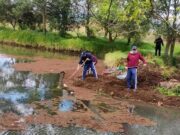 Sopó ejecuta labores de mantenimiento en el Lago del Complejo La Trinidad