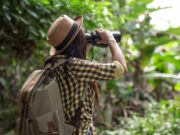 Suesca celebra su historia con la XXII Semana Cultural “Roca de las Aves”