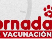 Vacunación y desparasitación para perros y gatos en Tenjo