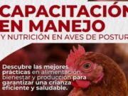 Alcaldía de Tenjo impulsa la producción avícola sostenible