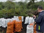 CAR incauta carbón ilegal en Cundinamarca