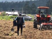 Cundinamarca Fortalece la Ganadería con Nuevos Bancos de Forraje