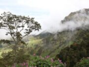 Cundinamarca exige Reglas claras en el Modelo de Ocupación de la Sabana