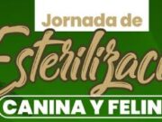 En Sibaté Jornada de Esterilización para Mascotas