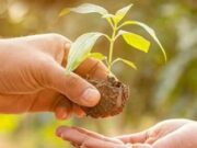 Fortalecimiento del sector agrícola para víctimas en Zipaquirá