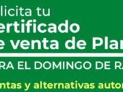 Alternativas ecológicas para el Domingo de Ramos