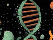 Planetario de Bogotá lanza curso gratuito de Astrobiología