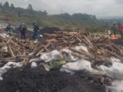 CAR lidera operativos contra delitos ambientales