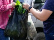 Funza impulsa Mercados Verdes para apoyar a los agricultores locales