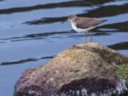 La CAR impulsa soluciones sostenibles ante la crisis del agua