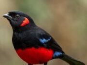 Premiarán el talento fotográfico en Sibaté