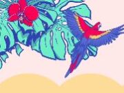 Top Show Colombo Women’s Edition 2025 en Bogotá