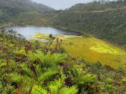 CAR aporta una inversión al Parque Ecoturístico La Petaca en Manta