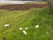 CAR suspende agricultura en embalse El Sisga