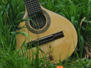 Cucunubá exalta la música tradicional con el Festival de la Bandola Andina