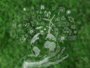 En El Rosal Jornada de recolección posconsumo