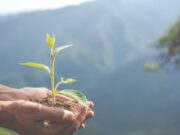 En Facatativá 6to Foro Ambiental