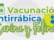 En Madrid Jornada de Vacunación de Mascotas