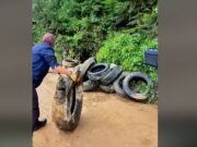 Exitosa primera jornada de la Reciclatón 2025 en Funza