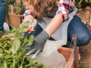 Gobernación lanza convocatoria para Jóvenes Agroemprendedores 2025