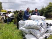 Intervención de CAR y Policía frena producción ilegal de carbón