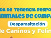 Jornada de Tenencia Responsable y Desparasitación Gratuita en Cogua