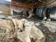 CAR y Policía suspenden curtiembre en Chocontá