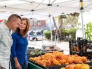 En Subachoque Segunda Feria Comercial y Ganadera