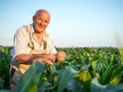 En Tocancipá Celebraran el Día del Campesino