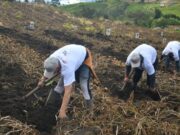 Éxito en la 26.ª edición del Azadón de Oro en Sibaté
