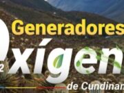 Abren convocatoria para diplomado gratuito en restauración ecológica en Cundinamarca