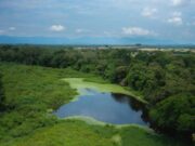 CAR y PNUD abren convocatoria para proteger humedales