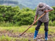 En Madrid se realizará la Feria “Siembra de la Sostenibilidad”