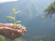Taller sobre biodiversidad y especies en Nemocón