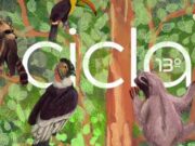 CICLA 2025 llega a la Cinemateca de Bogotá