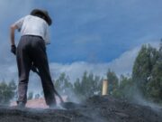 CAR y Fuerza Pública detienen producción ilegal de carbón vegetal en Suba