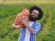 Convocatoria de FEDEPAPA beneficiará a productores de papa