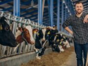 Convocatoria para ganadería sostenible se abre en Tabio