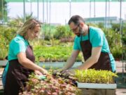 Convocatoria para productores agropecuarios en Fusagasugá