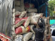 Decomisan bultos de carbón en Fusagasugá