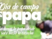 Día de Campo en Papa reunirá a agricultores en Sibaté