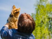 En Tenjo Jornada de Vacunación para Mascotas